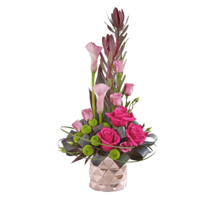 真实花卉高清图片免费下载指南